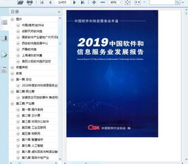 2019中国软件和信息服务业发展报告437页